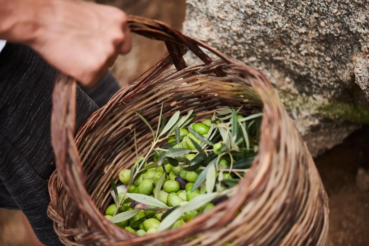 Cascioni Eco Retreat Ξενοδοχείο Arzachena